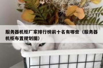 服务器机柜厂家排行榜前十名有哪些（服务器机柜布置规划图）