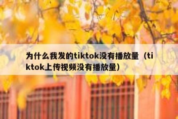 为什么我发的tiktok没有播放量（tiktok上传视频没有播放量）