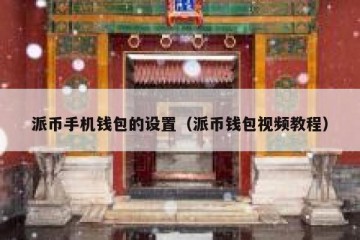 派币手机钱包的设置（派币钱包视频教程）