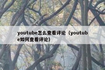 youtube怎么查看评论（youtube如何查看评论）