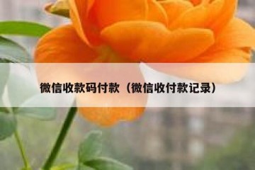 微信收款码付款（微信收付款记录）