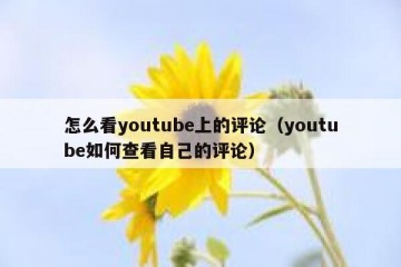 怎么看youtube上的评论（youtube如何查看自己的评论）