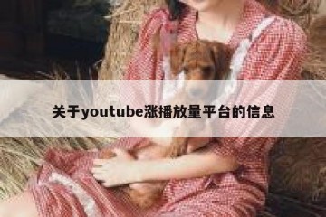 关于youtube涨播放量平台的信息
