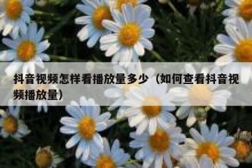 抖音视频怎样看播放量多少（如何查看抖音视频播放量）