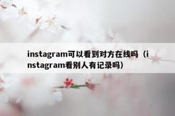 instagram可以看到对方在线吗（instagram看别人有记录吗）