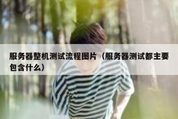 服务器整机测试流程图片（服务器测试都主要包含什么）