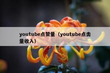 youtube点赞量（youtube点击量收入）