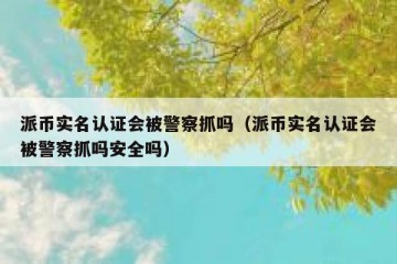 派币实名认证会被警察抓吗（派币实名认证会被警察抓吗安全吗）