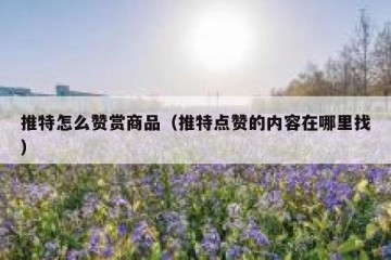 推特怎么赞赏商品（推特点赞的内容在哪里找）
