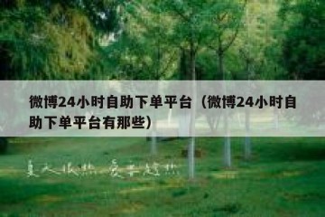 微博24小时自助下单平台（微博24小时自助下单平台有那些）