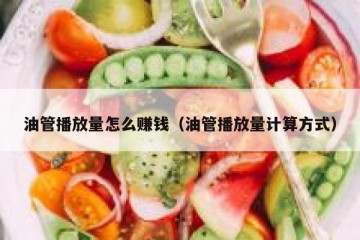 油管播放量怎么赚钱（油管播放量计算方式）