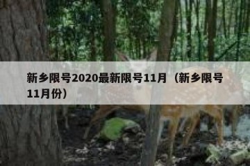 新乡限号2020最新限号11月（新乡限号11月份）