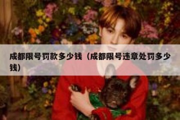 成都限号罚款多少钱（成都限号违章处罚多少钱）