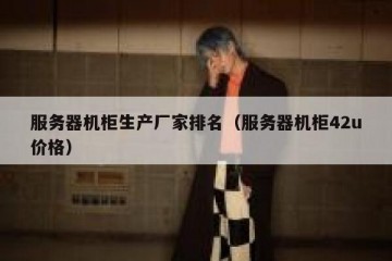 服务器机柜生产厂家排名（服务器机柜42u价格）