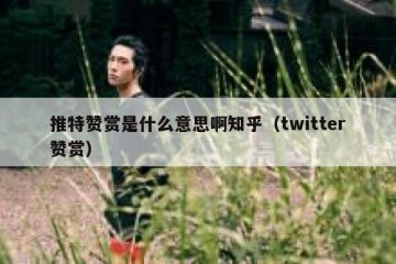 推特赞赏是什么意思啊知乎（twitter赞赏）