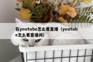 在youtube怎么看直播（youtube怎么看直播间）