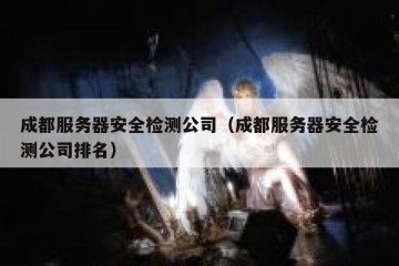 成都服务器安全检测公司（成都服务器安全检测公司排名）