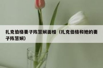 扎克伯格妻子陈慧娴面相（扎克伯格和她的妻子陈慧娴）