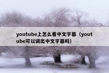 youtube上怎么看中文字幕（youtube可以调出中文字幕吗）