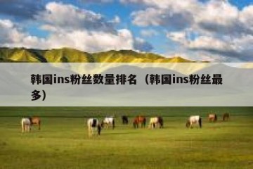 韩国ins粉丝数量排名（韩国ins粉丝最多）