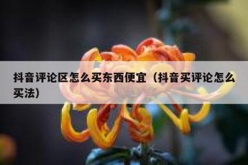 抖音评论区怎么买东西便宜（抖音买评论怎么买法）