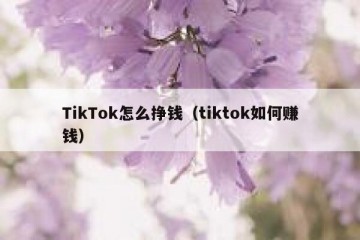 TikTok怎么挣钱（tiktok如何赚钱）