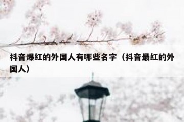 抖音爆红的外国人有哪些名字（抖音最红的外国人）