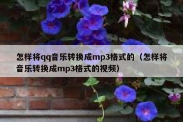 怎样将qq音乐转换成mp3格式的（怎样将音乐转换成mp3格式的视频）