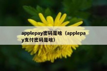 applepay密码是啥（applepay支付密码是啥）