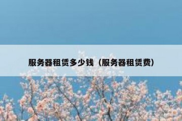 服务器租赁多少钱（服务器租赁费）