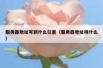 服务器地址写到什么位置（服务器地址填什么）