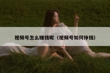 视频号怎么赚钱呢（视频号如何挣钱）