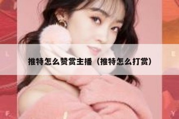 推特怎么赞赏主播（推特怎么打赏）