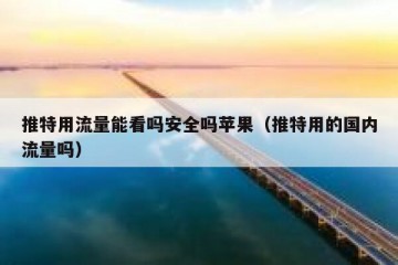 推特用流量能看吗安全吗苹果（推特用的国内流量吗）