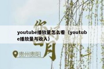 youtube播放量怎么看（youtube播放量与收入）