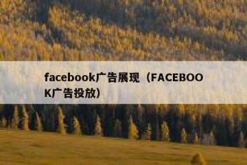 facebook广告展现（FACEBOOK广告投放）