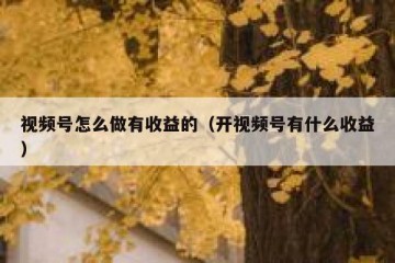 视频号怎么做有收益的（开视频号有什么收益）