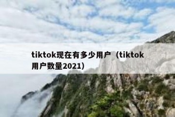 tiktok现在有多少用户（tiktok用户数量2021）