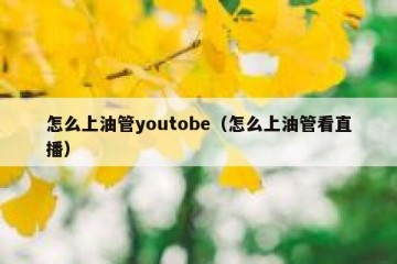 怎么上油管youtobe（怎么上油管看直播）