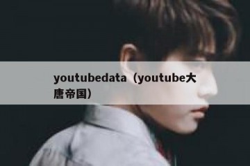 youtubedata（youtube大唐帝国）