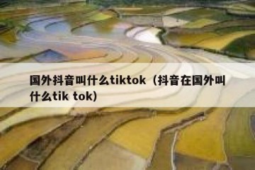 国外抖音叫什么tiktok（抖音在国外叫什么tik tok）