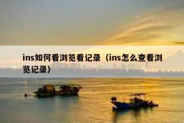 ins如何看浏览看记录（ins怎么查看浏览记录）