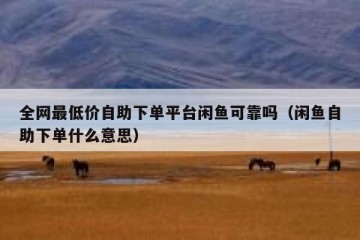 全网最低价自助下单平台闲鱼可靠吗（闲鱼自助下单什么意思）