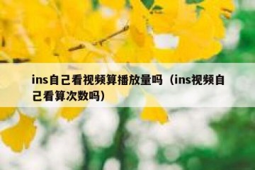 ins自己看视频算播放量吗（ins视频自己看算次数吗）