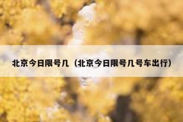 北京今日限号几（北京今日限号几号车出行）