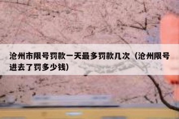 沧州市限号罚款一天最多罚款几次（沧州限号进去了罚多少钱）