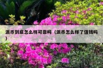 派币到底怎么样可靠吗（派币怎么样了值钱吗）