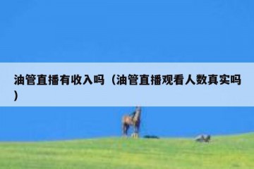 油管直播有收入吗（油管直播观看人数真实吗）