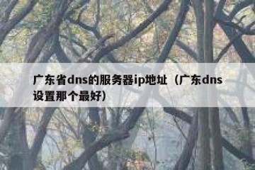 广东省dns的服务器ip地址（广东dns设置那个最好）
