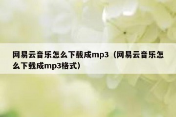 网易云音乐怎么下载成mp3（网易云音乐怎么下载成mp3格式）